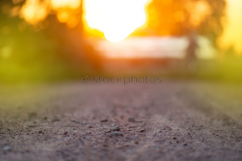 Similar – Image, Stock Photo HOME WAY Tree Grass