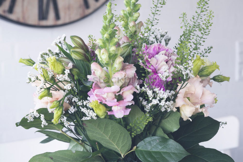 Similar – Hydrangeas pink one Nature