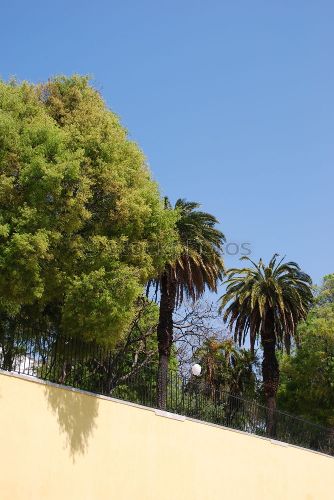 Similar – Image, Stock Photo #AS# Weeds mediterranean