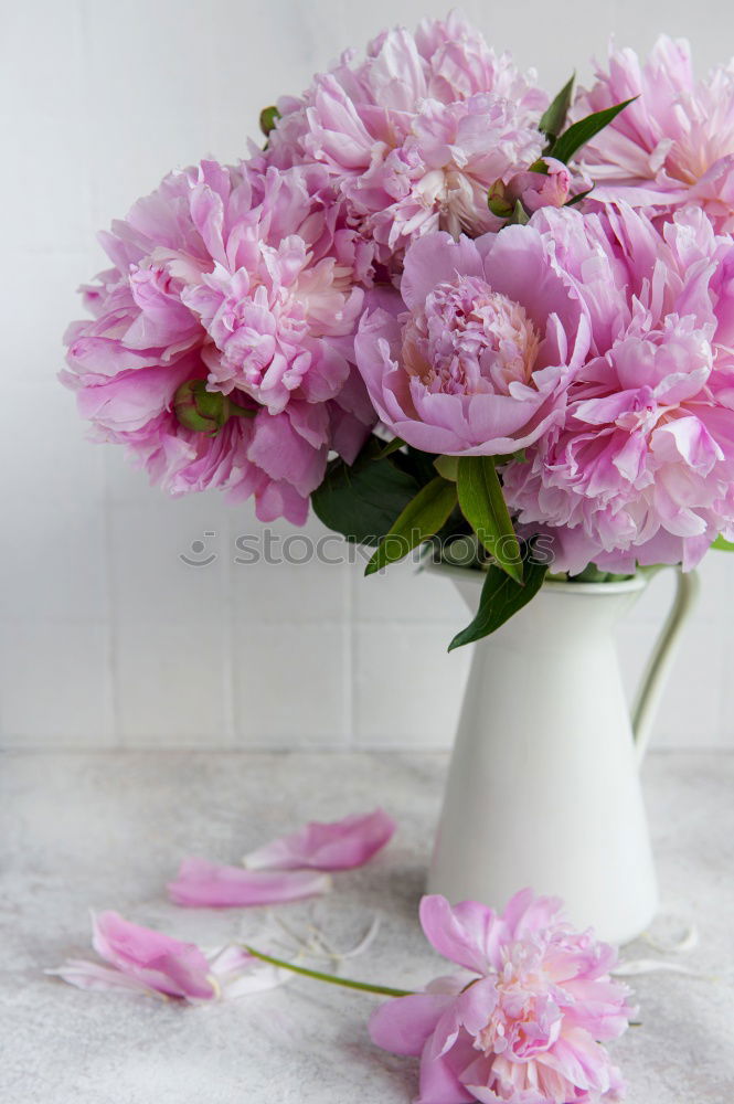 Similar – peonies Pink Flower