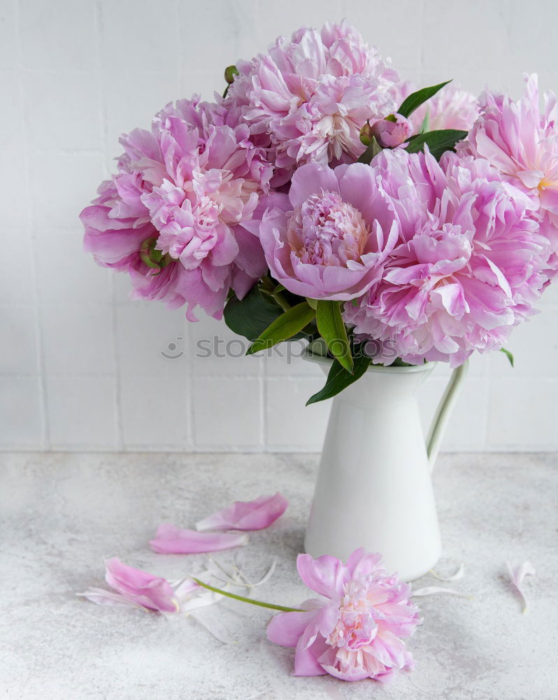 Similar – peonies Pink Flower