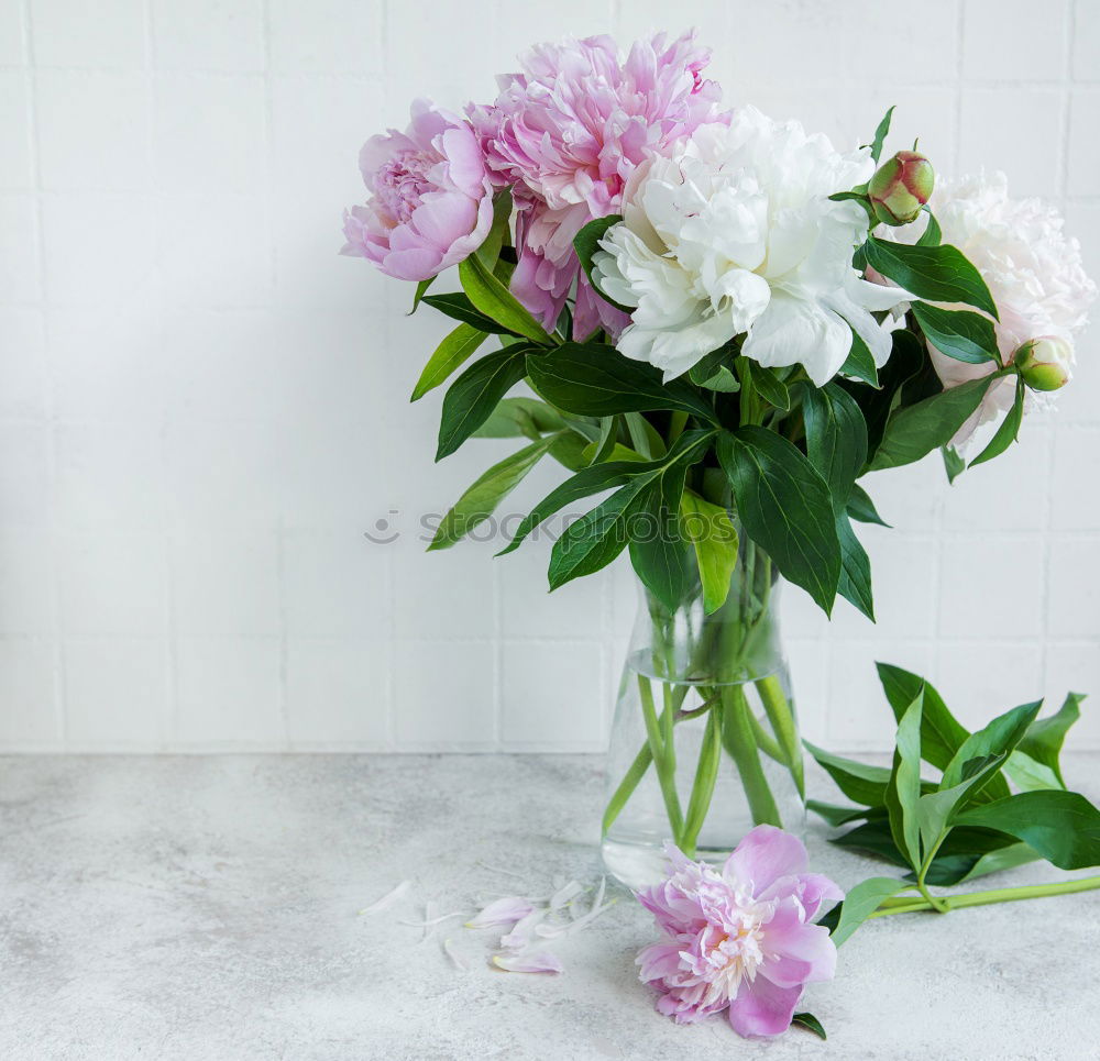 Similar – Image, Stock Photo Glass vase with colorful flowers on table
