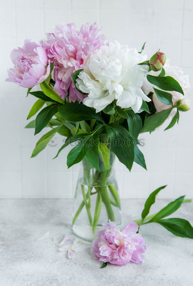 Similar – Image, Stock Photo flowers Wood Basket Flower