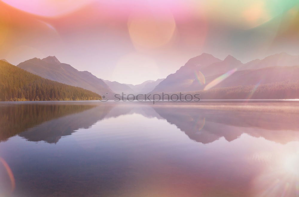 Similar – romantic ducks Lake Clouds