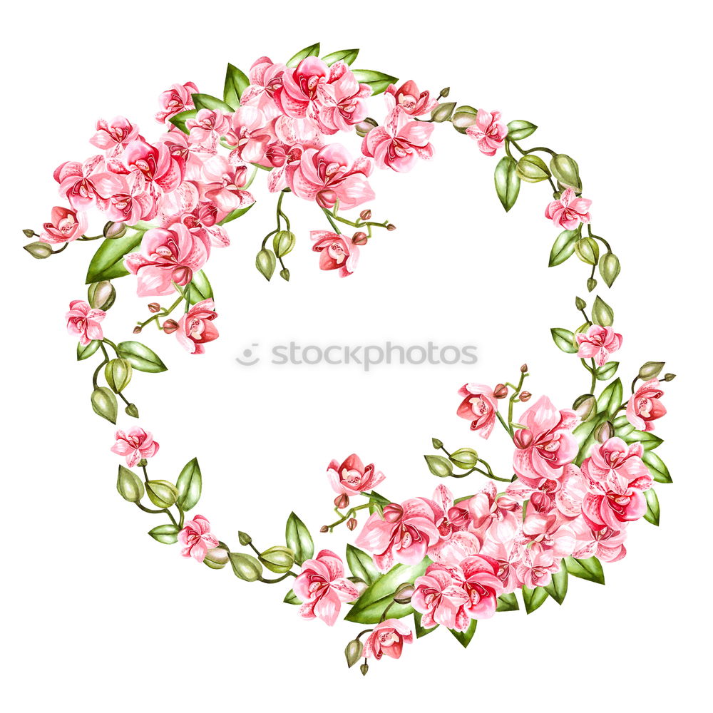 Similar – Flowers on a white background