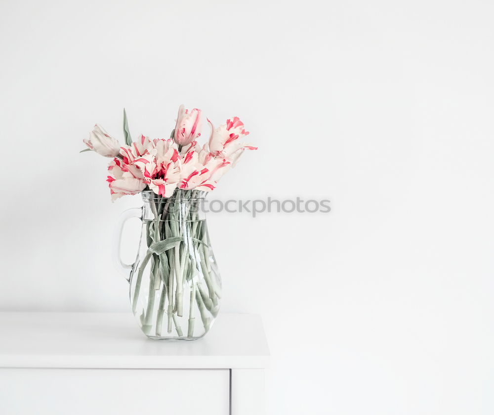 Similar – Vase with tulips on white table