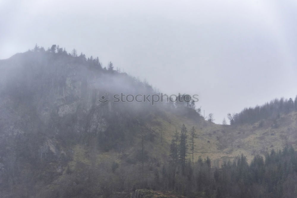 Similar – A great cliff that stretches to the sky and a bare tree on the grass