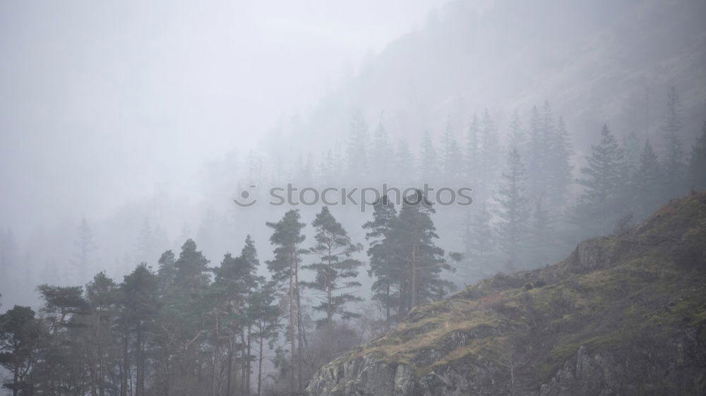 Similar – A great cliff that stretches to the sky and a bare tree on the grass