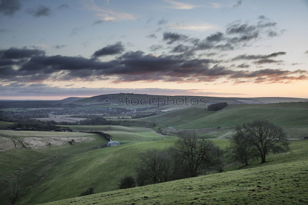Similar – Image, Stock Photo Hills, sheep and a dream road