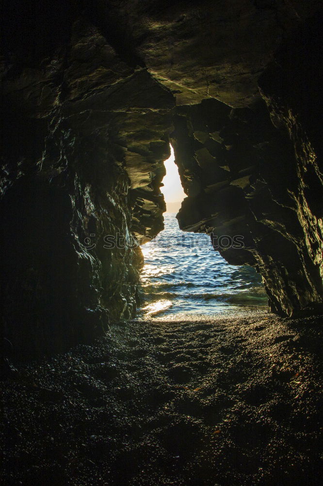 Similar – Image, Stock Photo shadow running New Zealand