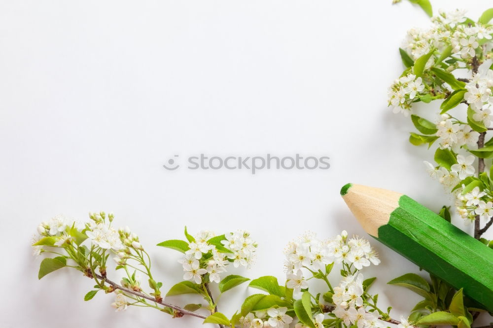 Similar – Image, Stock Photo Beautiful garden flowers with leaves and flowers