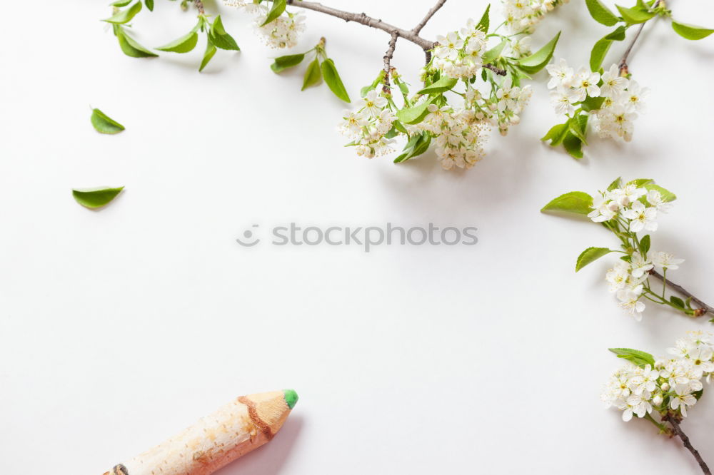 Similar – Spring flowers and various garden tools