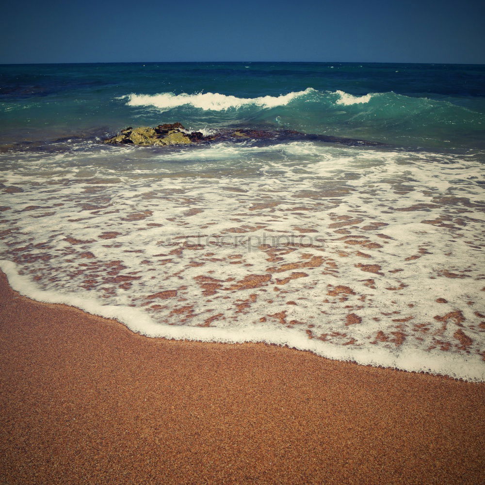 Similar – Image, Stock Photo puny /tree remains on a dune. Down the high sandy beach there are some smaller stones in front of the foaming light surf.