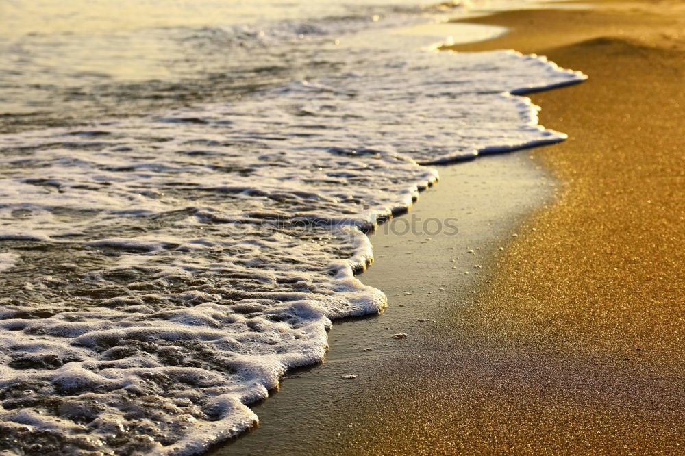 Similar – Image, Stock Photo sand growth Moody Green