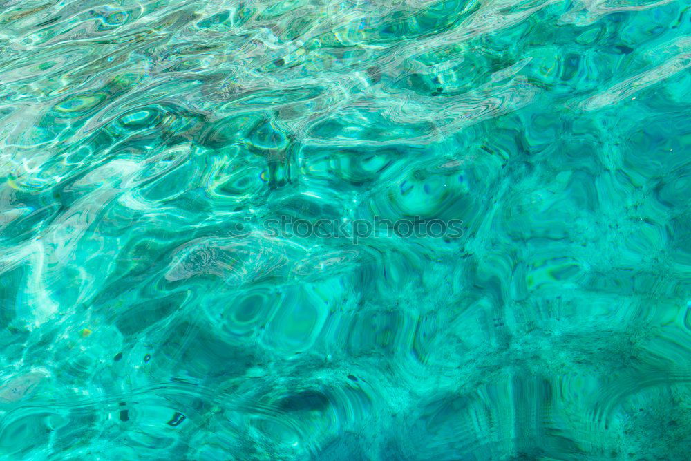 Similar – Image, Stock Photo Hidden Object in the Corsican Sea