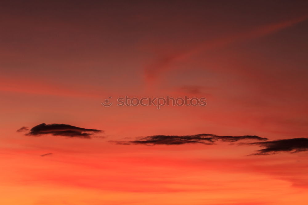 Foto Bild Sonnenuntergang mit schwarzen Bäumen