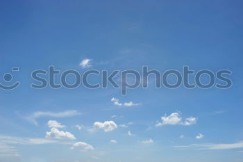 Similar – Image, Stock Photo cornfield Field Wheat Rye