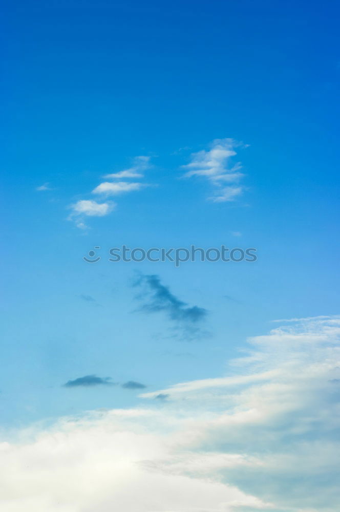 Similar – Foto Bild Drachen sollen fliegen
