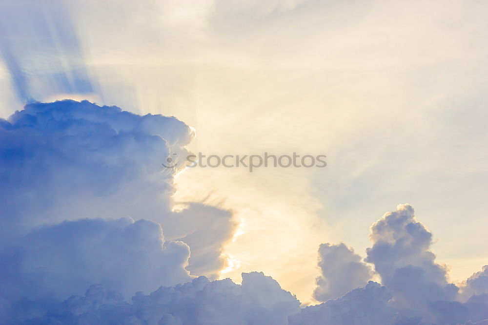 Similar – Image, Stock Photo Famous colonnade of St. Peter’s Basilica in Vatican, Rome, Italy