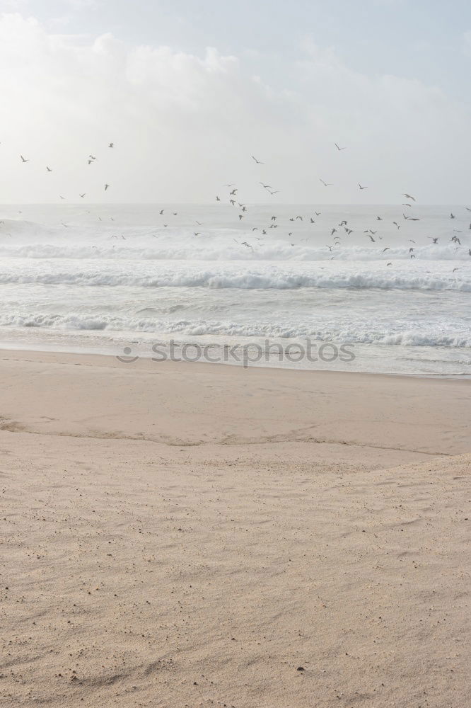 Similar – beach supervision