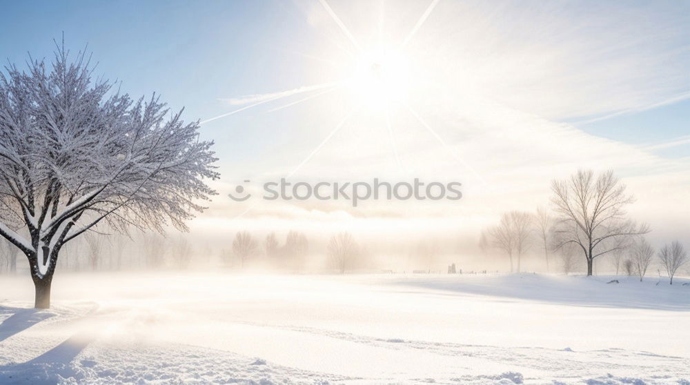 Similar – Image, Stock Photo Snow-covered winter landscape in the Black Forest