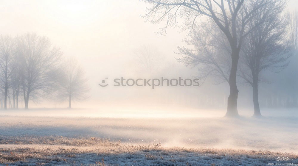 Similar – winter fog Nature