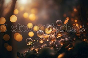 Similar – Image, Stock Photo decoration light christmas celebration hanging on tree, abstract image blurred defocused background