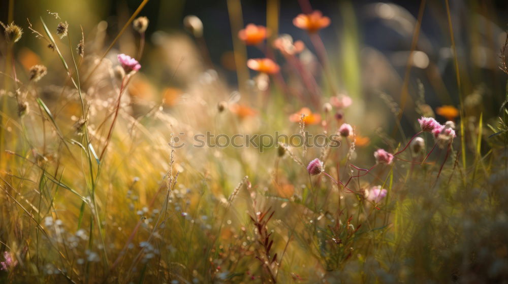 Similar – Image, Stock Photo Roadside. Environment