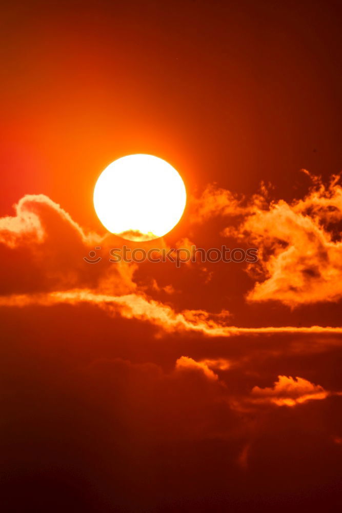 Similar – Image, Stock Photo Africa Sunset Tree