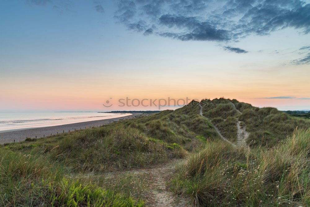 Similar – Image, Stock Photo raglan Nature Landscape