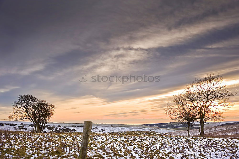 Similar – Image, Stock Photo endless fence