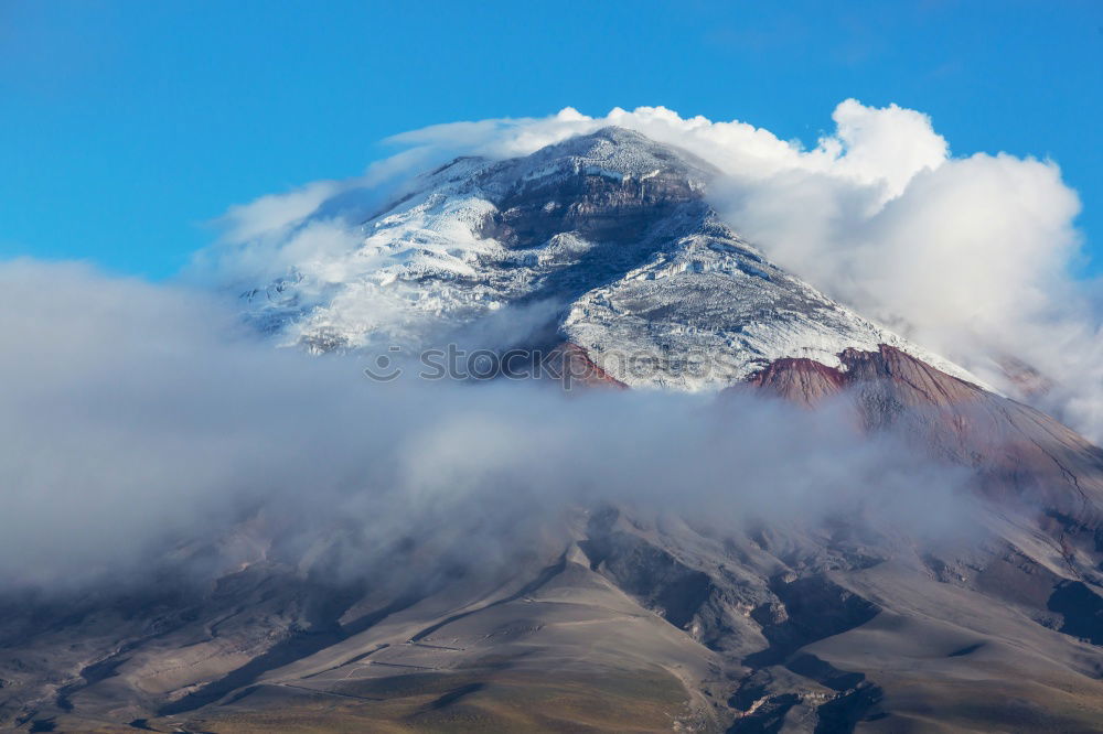 Similar – Wild horses in front of the Cotopaxi volcano in Ecuador