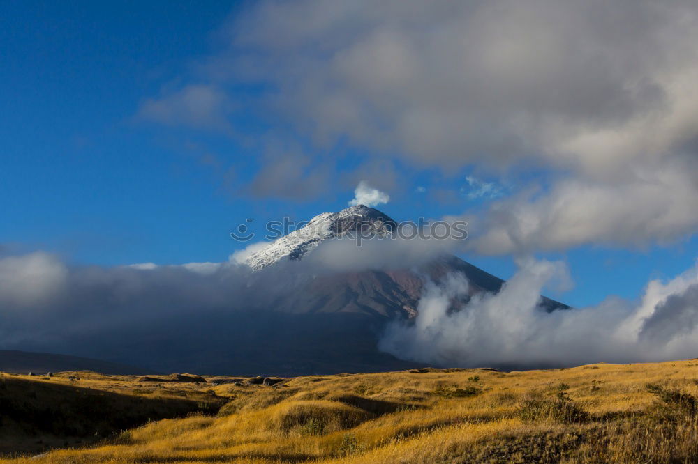 Similar – Wild horses in front of the Cotopaxi volcano in Ecuador