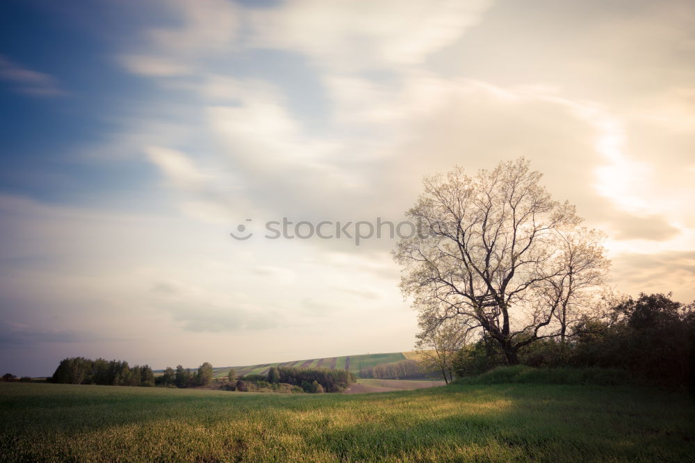 Similar – Image, Stock Photo Beautiful autumn sunny evening panorama. Tatras mountains