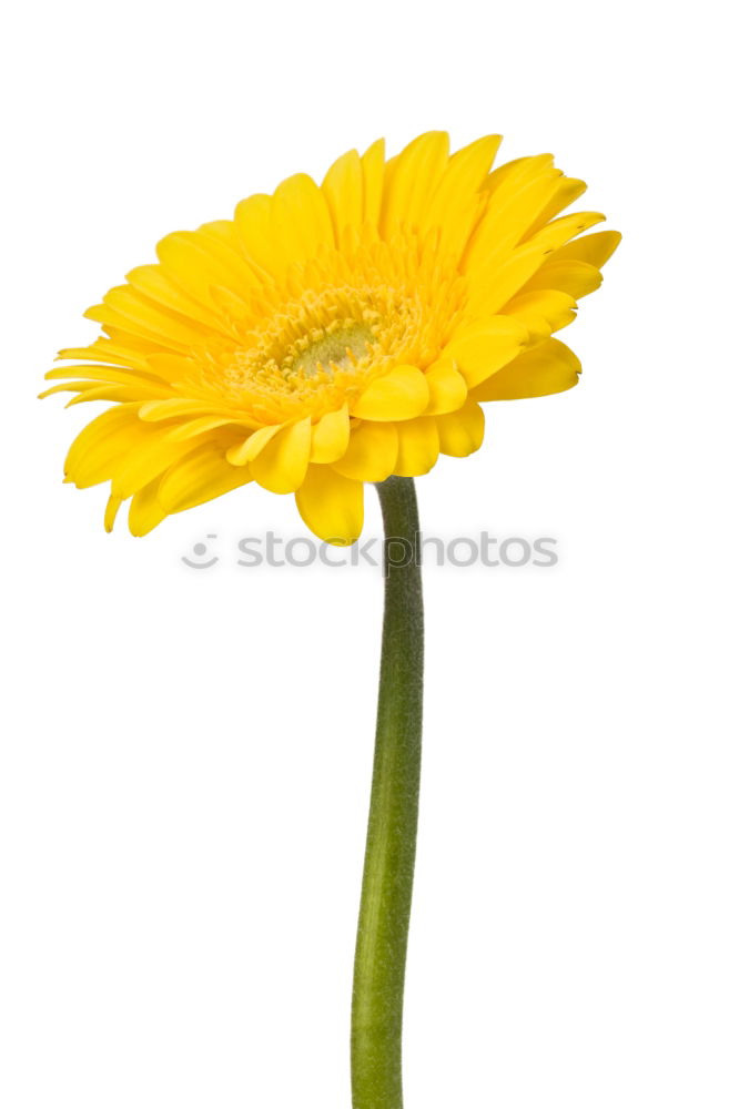 Similar – Image, Stock Photo The air’s out. (After the opening…