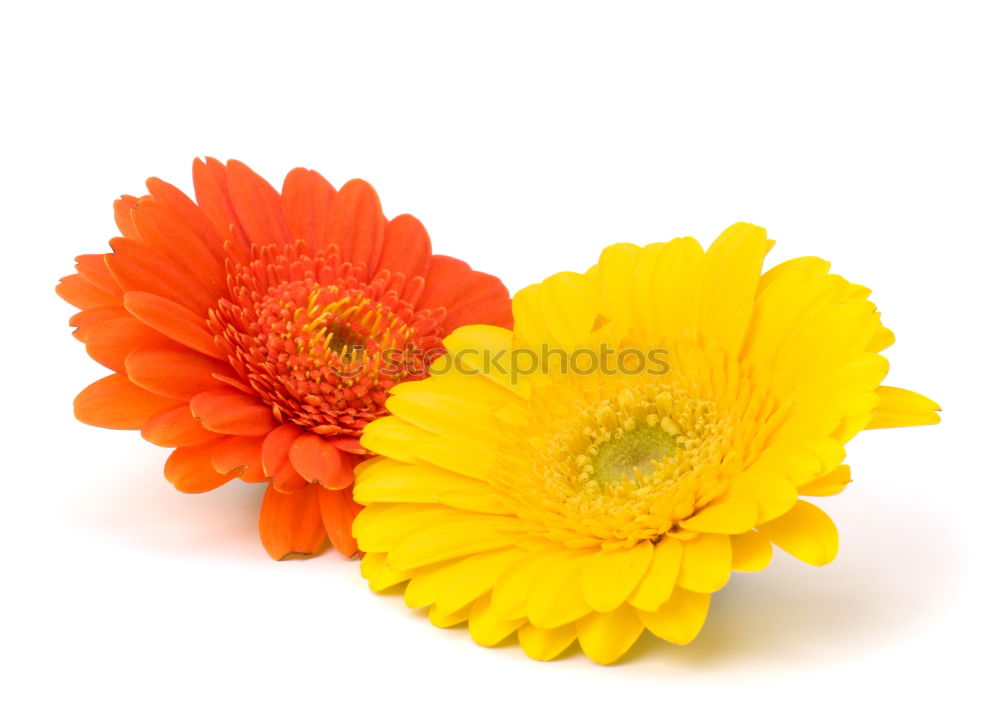 Similar – Image, Stock Photo Blue Yellow Perspectives I