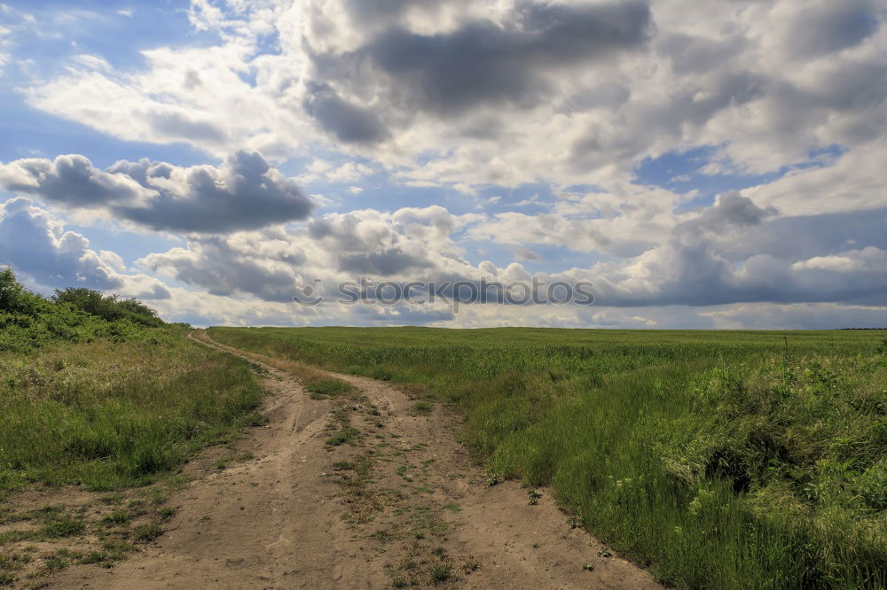 Similar – Image, Stock Photo The road to nothingness aka the way to happiness