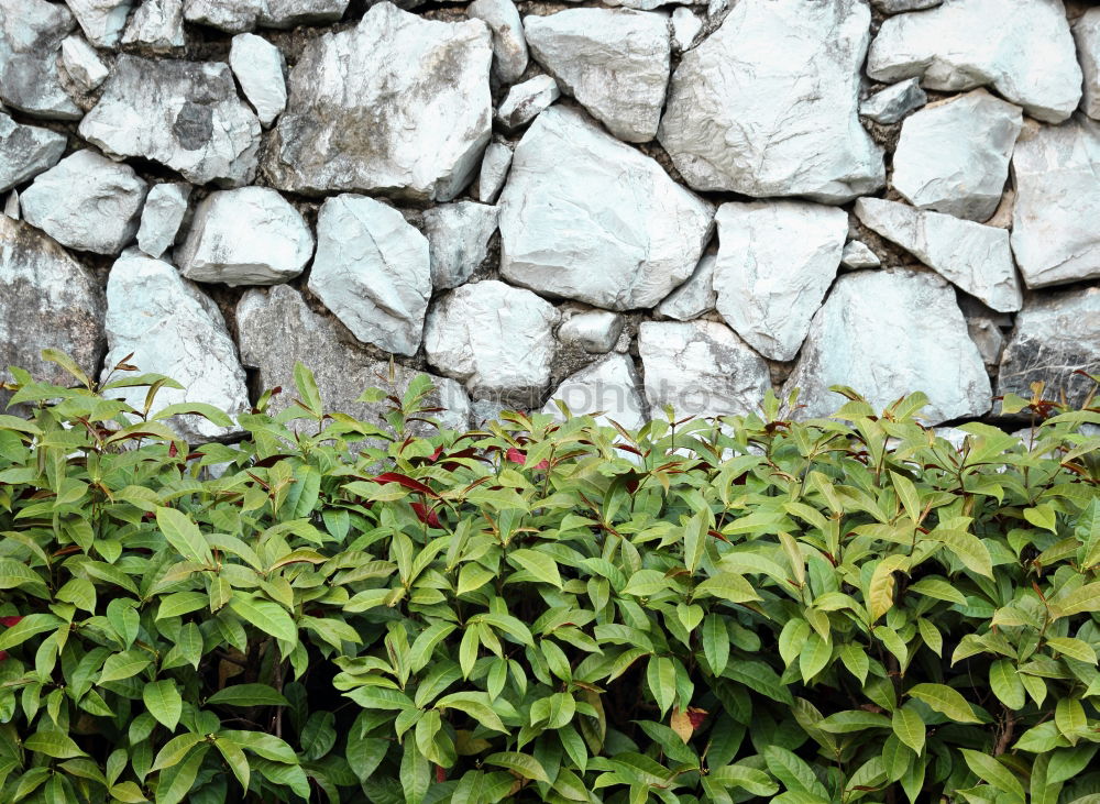 Similar – Image, Stock Photo .climbing wall.