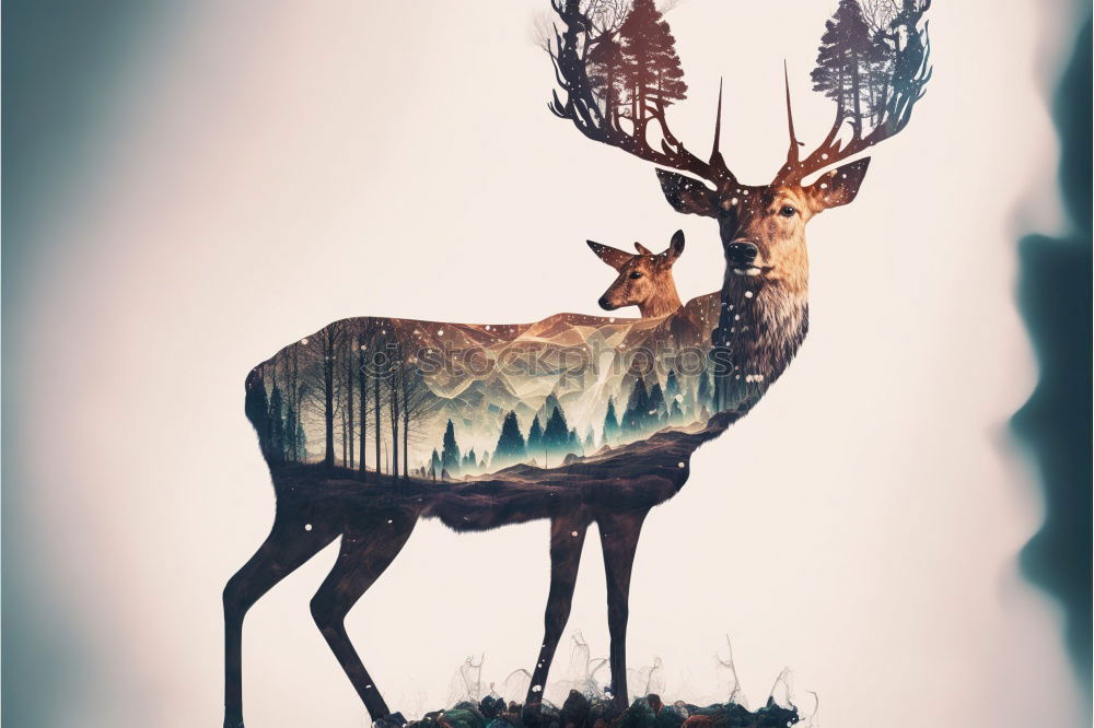 Similar – Image, Stock Photo at king’s Deer Elk Animal