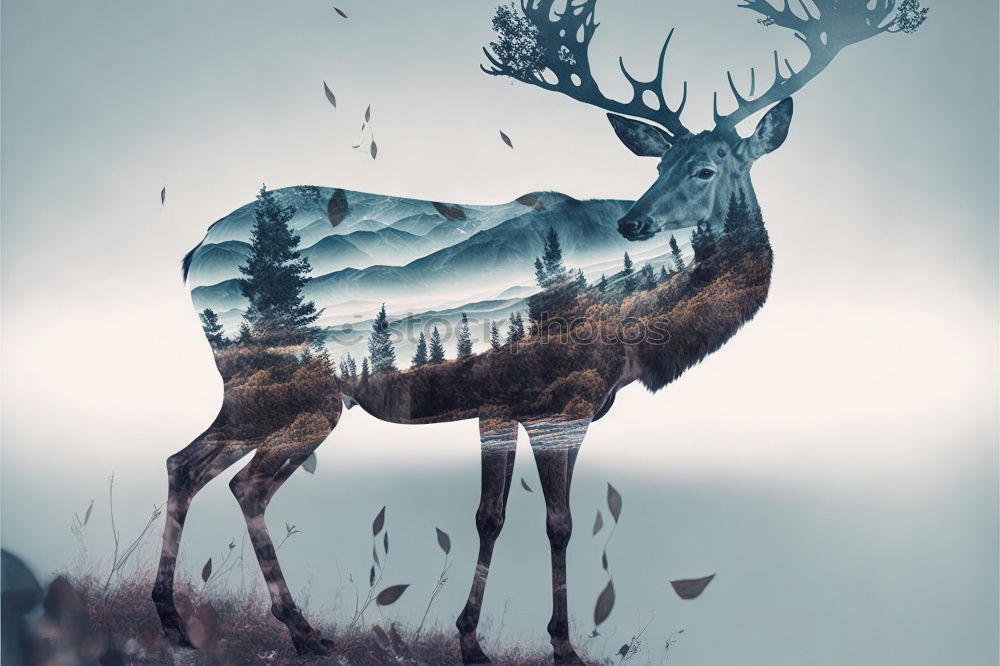 Similar – Stag at sunrise in winter landscape