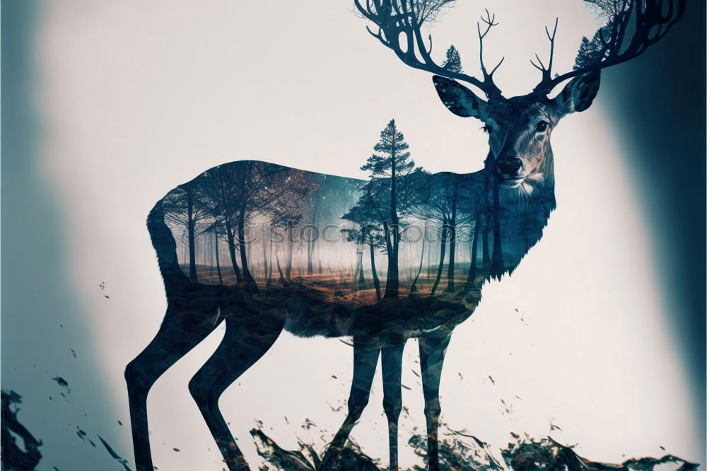 Similar – Stag at sunrise in winter landscape