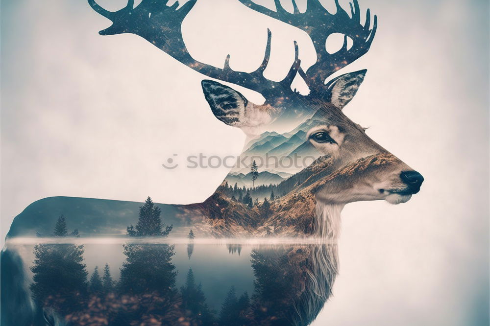 Similar – Stag at sunrise in winter landscape