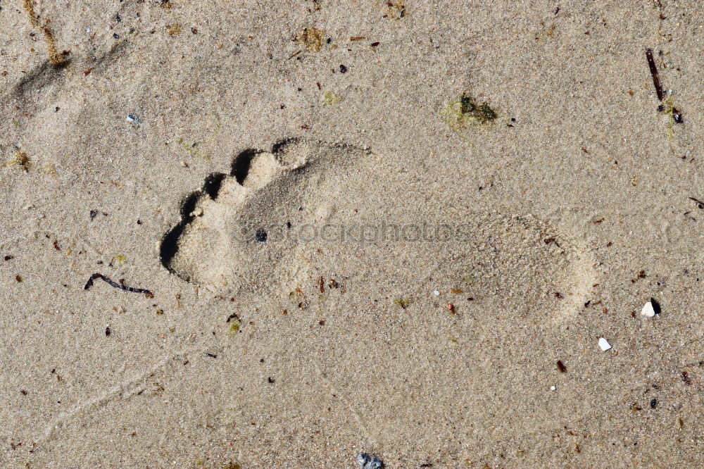 Similar – Foto Bild Das knirscht! Strand Meer