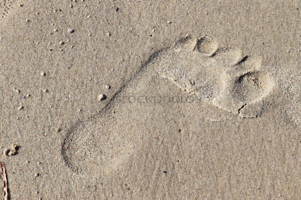 Similar – Image, Stock Photo barefoot Feet Wet Barefoot