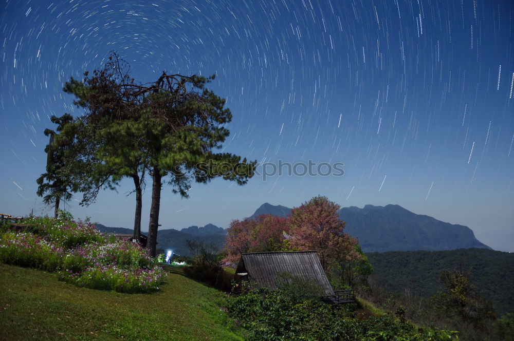 Similar – Image, Stock Photo hot air salmon tracks