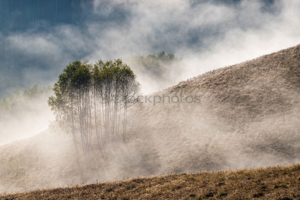 Foto Bild Aufsteigender Nebel Umwelt