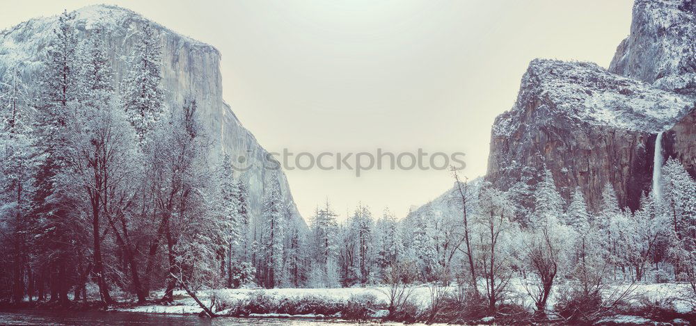 Similar – Image, Stock Photo Winter magic in Bohemian Switzerland