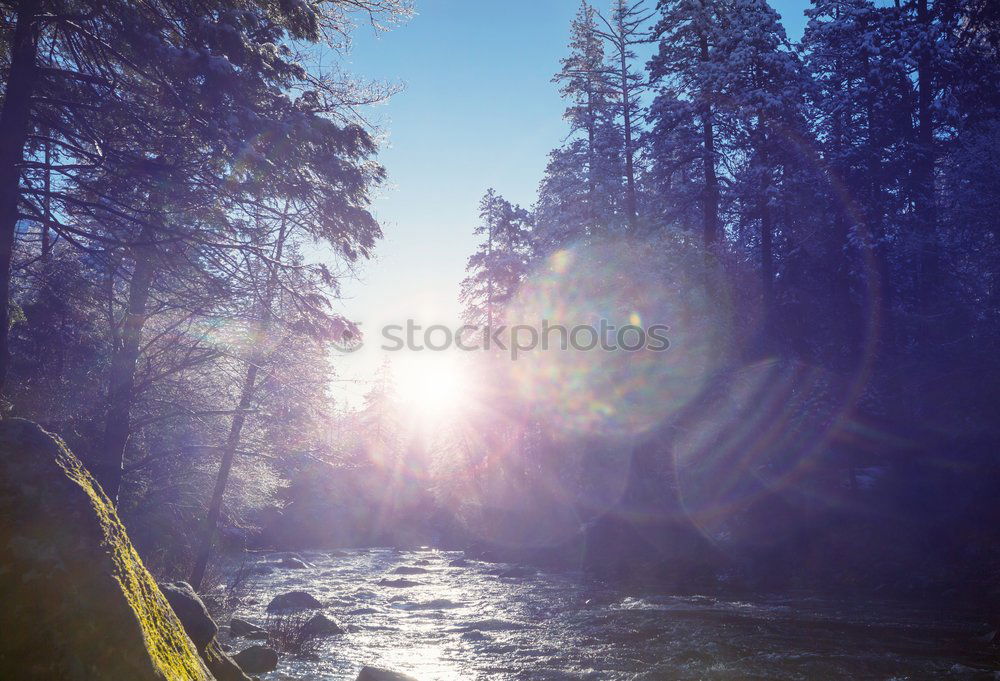 Similar – Image, Stock Photo lake of mirrors Life