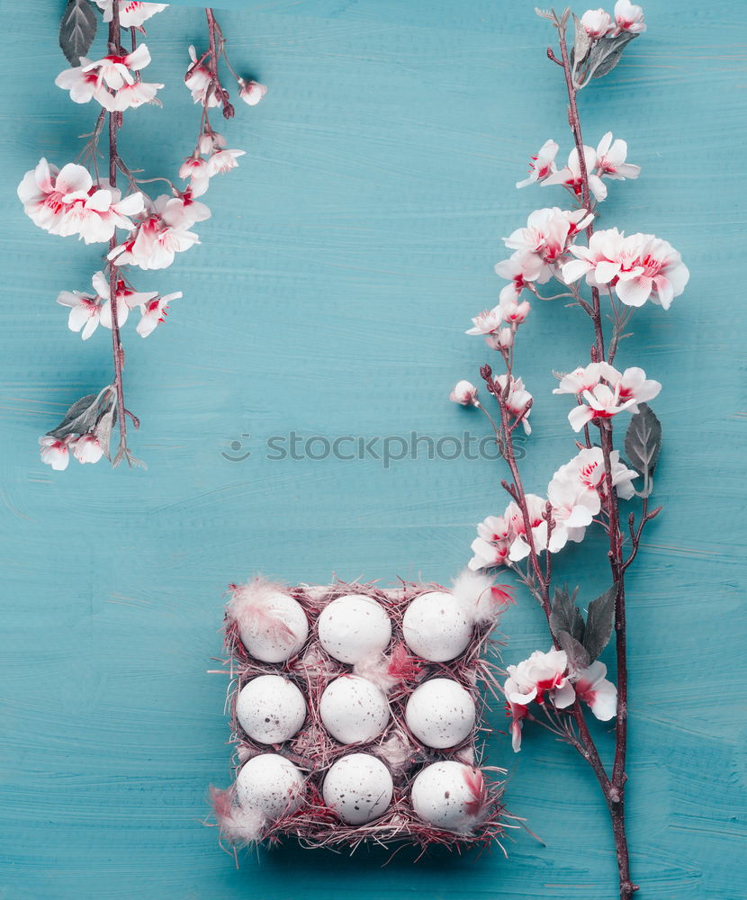 Similar – Blue bowl with pink flowers and water