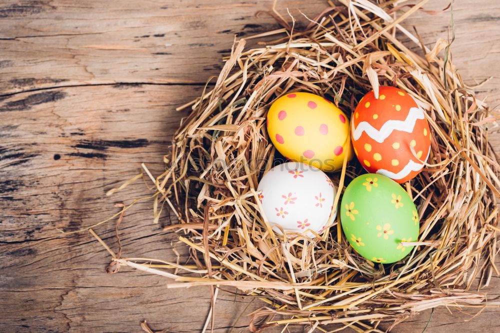 Similar – Easter eggs in hay nest on a rustic wooden background